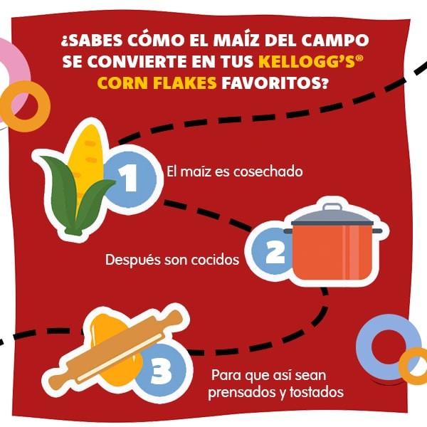 ¿Sabes cómo el maíz del campo se convierte en tus Kellogg's® Corn Flakes Favoritos?