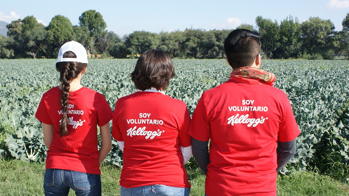 Voluntarios Mejores Días Voluntarios Mejores Días