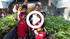 Thumbnail video